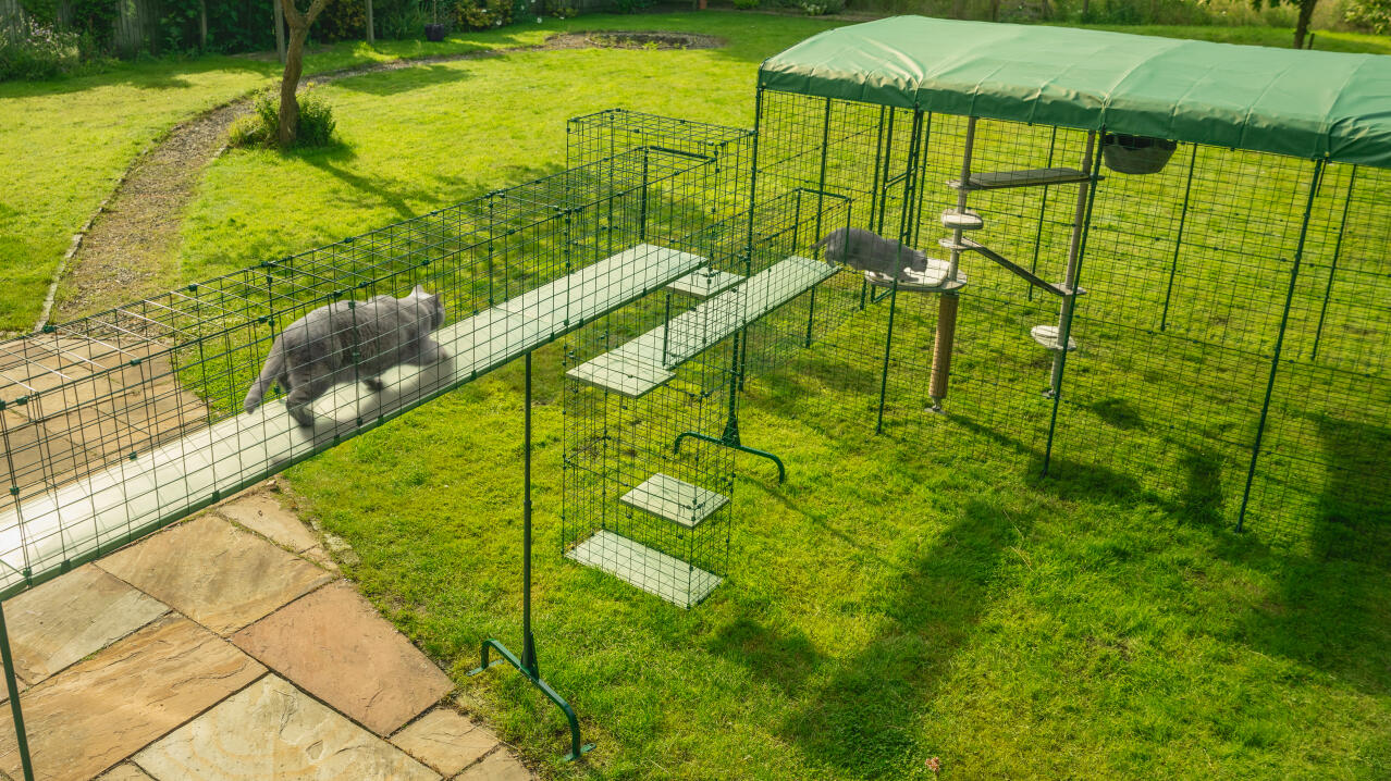 Kompletter catio-tunnel und außenauslauf mit wetterschutzabdeckungen