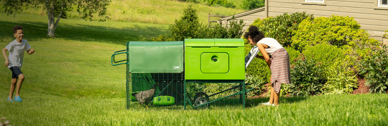 Eglu Cube großer hühnerstall mit auslauf und hühnern