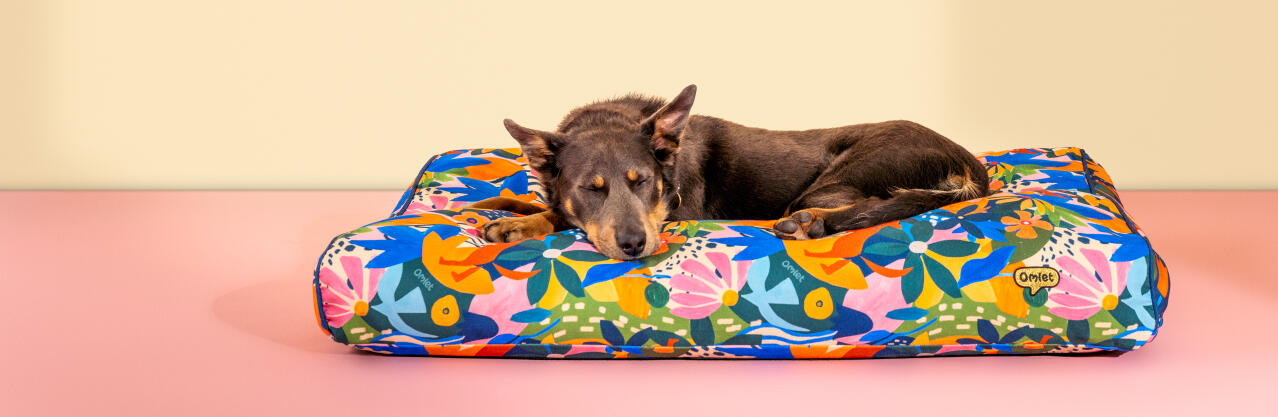 Hund ruht in einem großen kissen hundebett