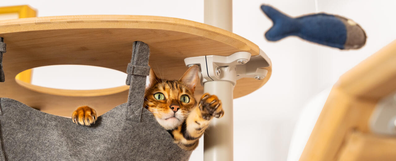 Katze spielt in einem anpassbaren katzenturm von Omlet