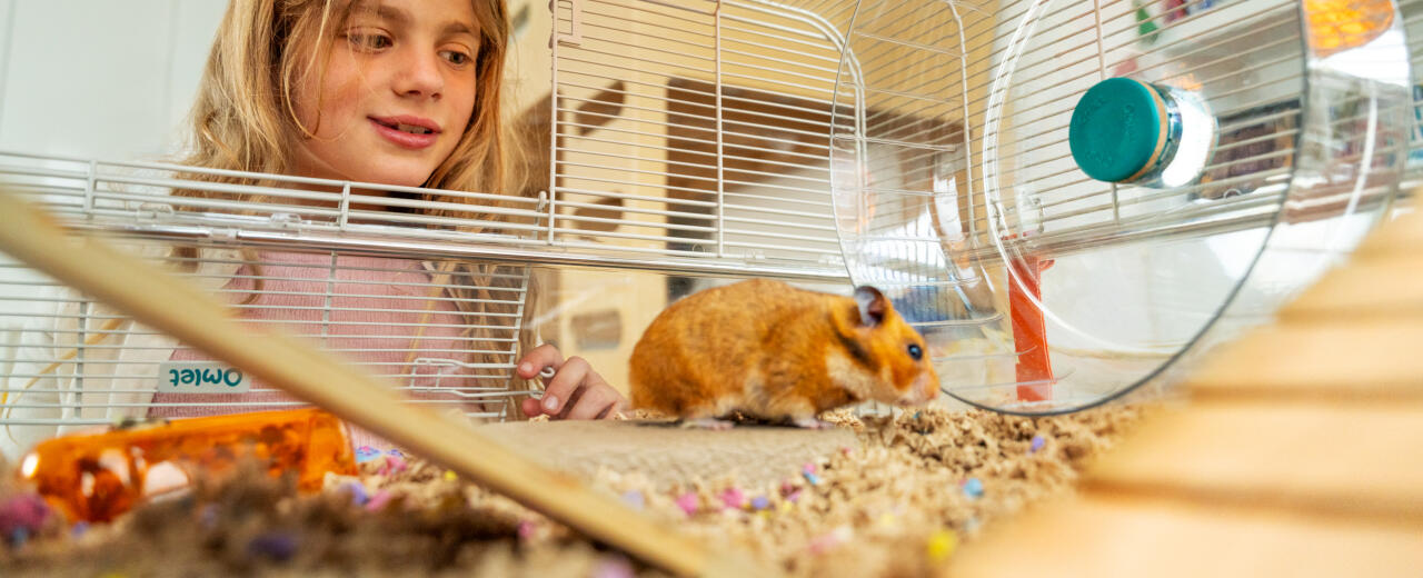 Mädchen spielt mit hamster im Omlet hamsterkäfig