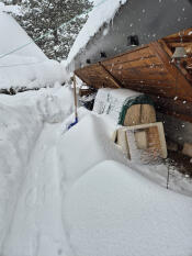 Hühnerstall im schnee