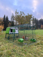 Eglu Cube im Garten