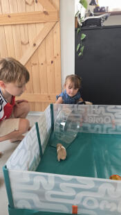 Kinder spielen mit ihrem hamster im Omlet hamsterlaufstall.