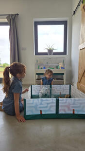 Zwei kinder spielen mit ihrem hamster, der sich im hamsterlaufstall befindet.