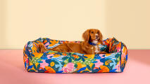 Hund, der in einem farbenfrohen, gepolsterten hundebett von Omlet