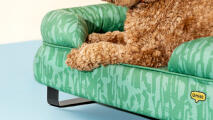 Stützendes nackenrollen-hundebett mit lebhaftem designermuster