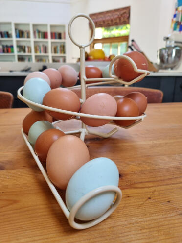 Ein perfekter regenbogen von eiern. 