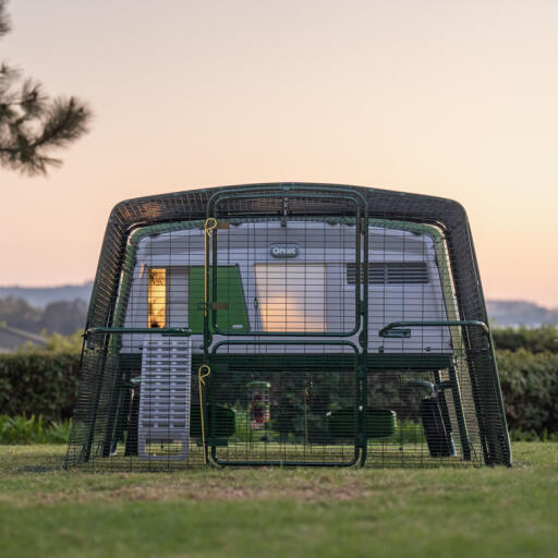 Eglu profi-hühnerstall mit auslauf bei sonnenuntergang mit licht im hühnerstall