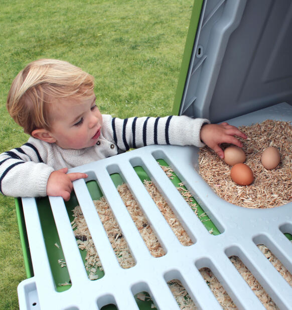 Kind sammelt eier aus dem nistkasten des Eglu Go hühnerstalls