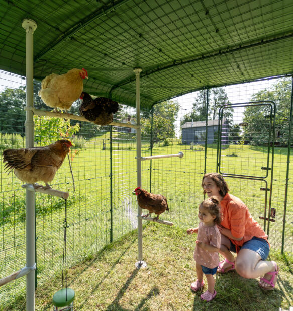 Eine mutter und eine tochter in einem begehbaren hühnerstall, die mit ihren hühnern interagieren.
