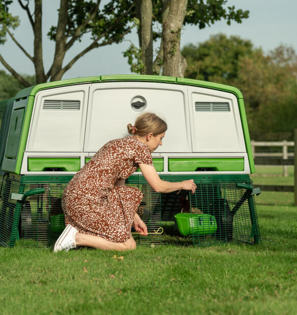 Eine frau, die die türen am boden des Eglu pro hühnerstalls öffnet