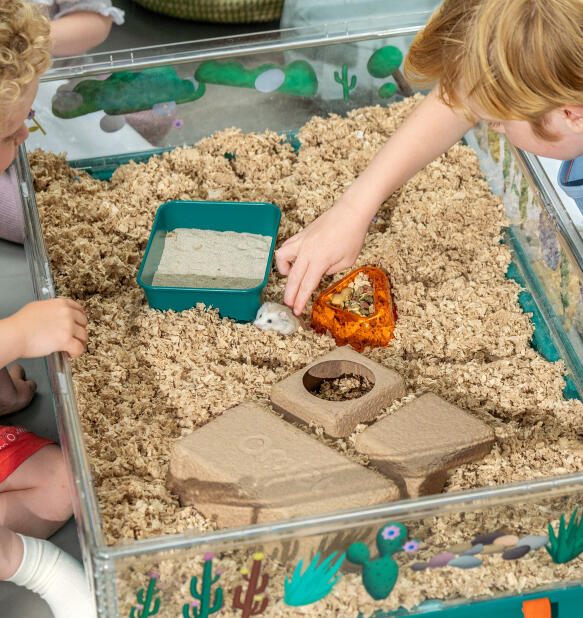 Ansicht von oben Omlet's großer hamsterkäfig mit zubehör