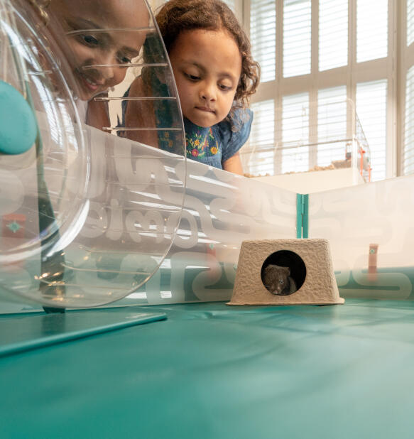 Zwei kinder beobachten ihren hamster in einem aufklappbaren laufstall mit zubehör