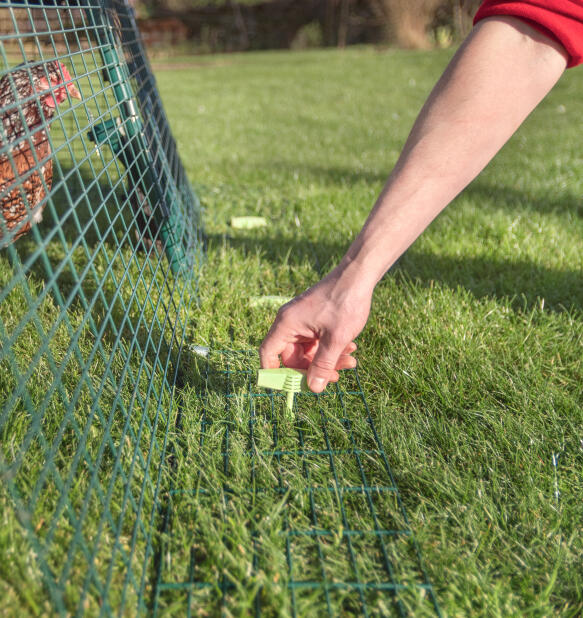 Hinzufügen von erdnägeln zur sicherung des Eglu hühnerstalls von hand