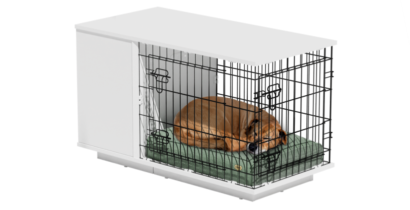 Hund schläft in einer hundebox