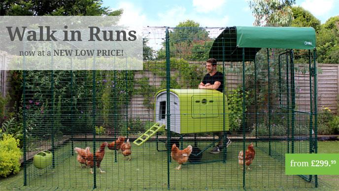 Chicken Coops | Chicken Houses | Hamster Houses | Rabbit Hutches 