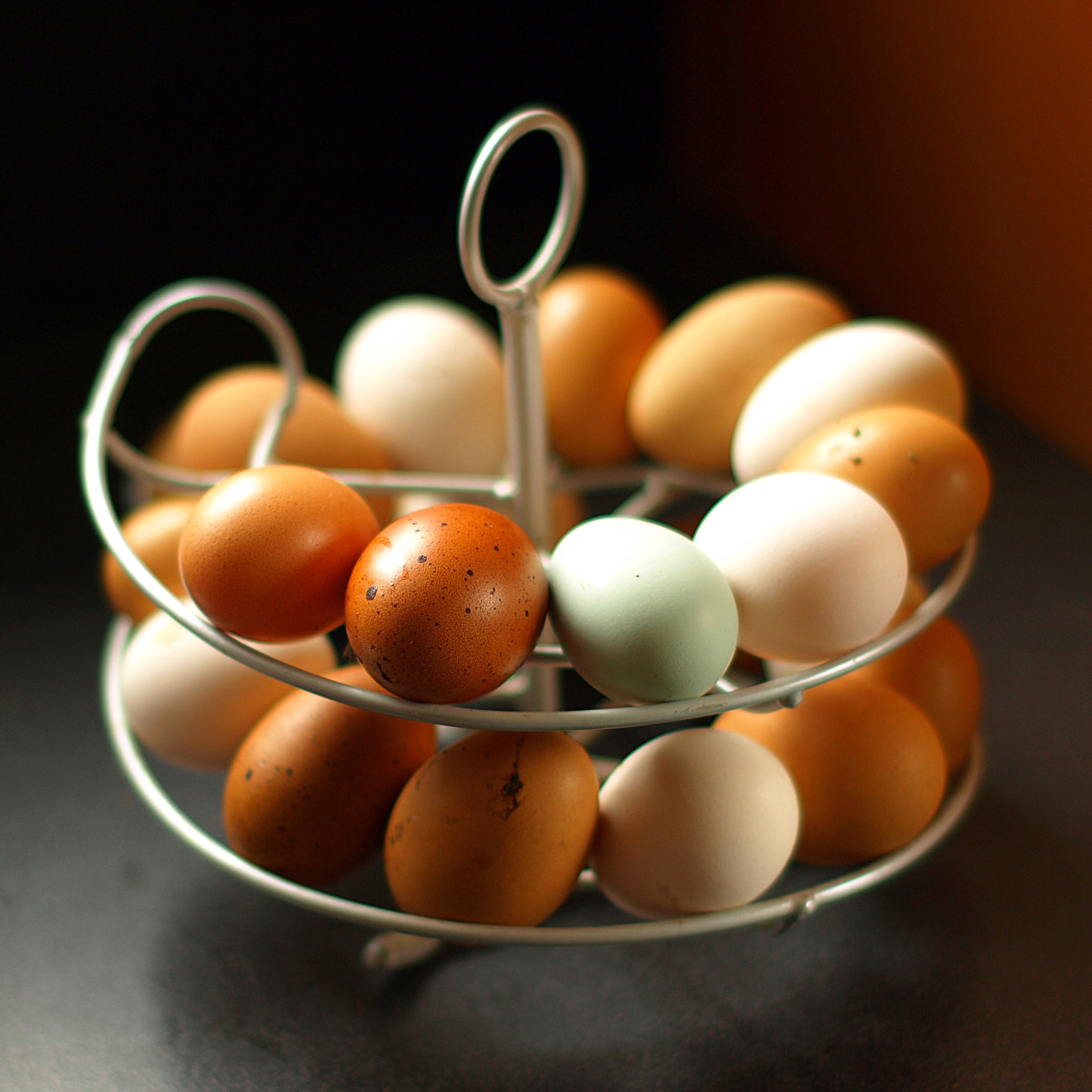 Die Eierspirale von Omlet erlaubt, die Eier nach Legezeitpunkt zu ordnen